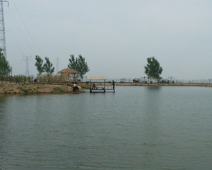 黄河外滩（星海湖）景区